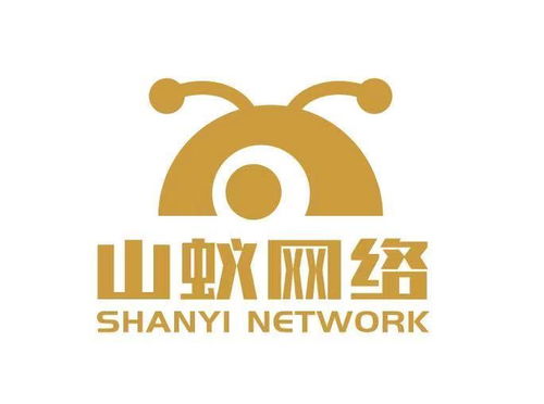 四川山蟻網絡科技