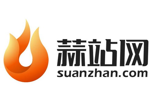 四川蒜站網絡科技 引領科技創(chuàng)新與數字化轉型