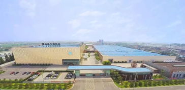 隆力奇 堅守大健康產業，以網絡科技賦能民族品牌振興之路