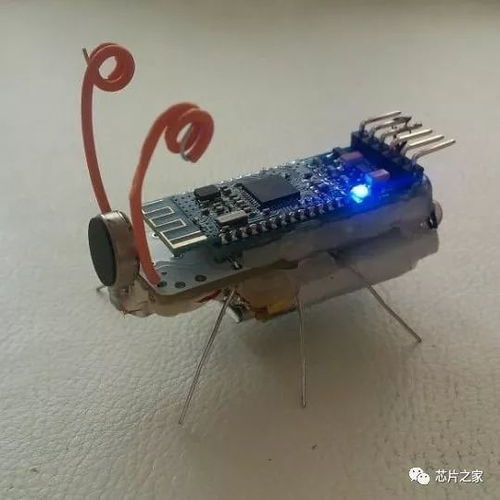 電子元器件的藝術新生 當技術零件變成視覺詩歌